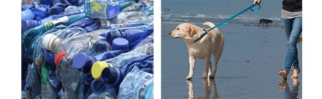Recycled Plastic Used to Make Dog Collars