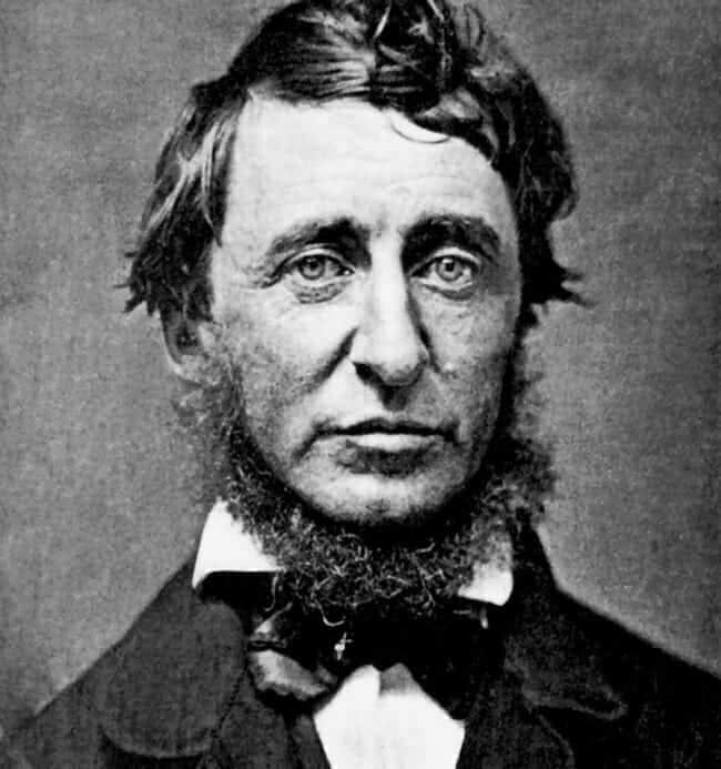 Henry David Thoreau, June 1856