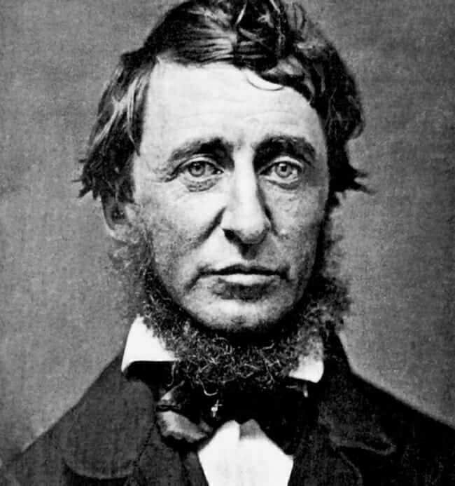 Henry David Thoreau, June 1856