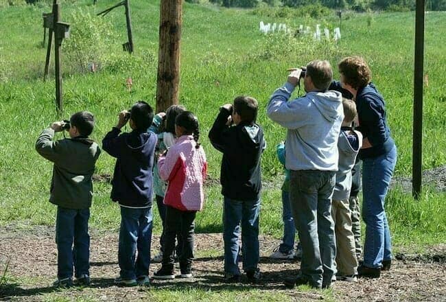 Bird Watchers