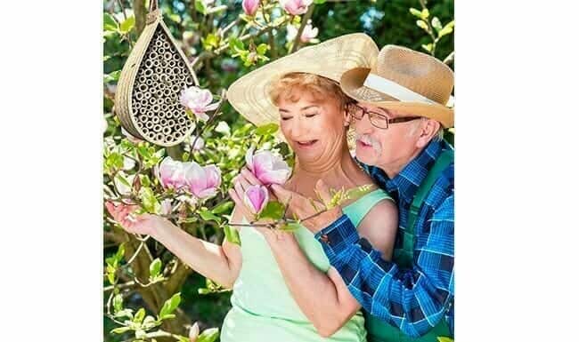 Bug Hotels