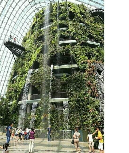 The Cloud Forest Dome, Gardens by the Bay, Singapore