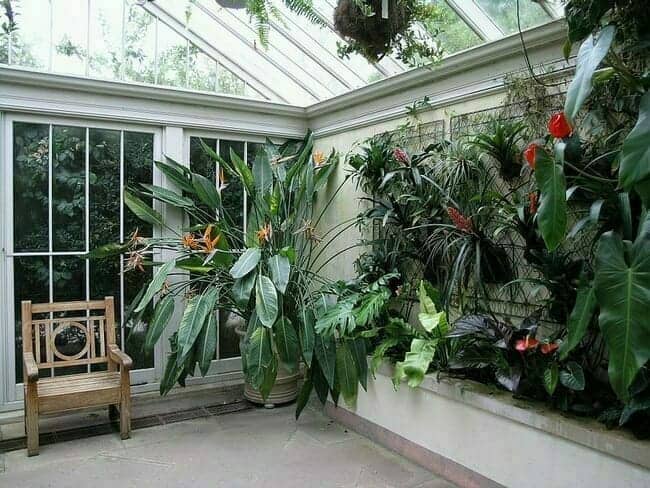 Vertical Plants, Kew Gardens, London