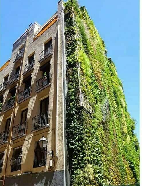 Outdoor Vertical Garden at the CaixaForum Art Gallery, Madrid, Spain. Photo: Zarateman.