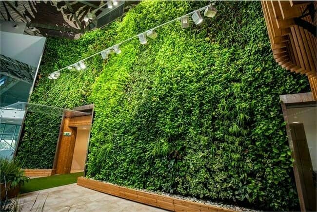 Vertical Garden in Gothal Wellness Center, Liptovská Osada, Slovakia