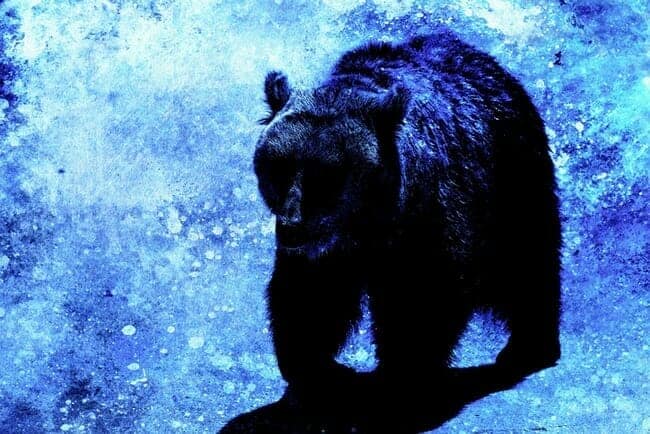 Bear Power Animal in the Moonlight
