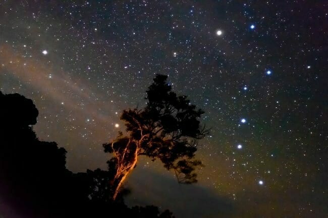 Ursa Major and Ursa Minor constellations