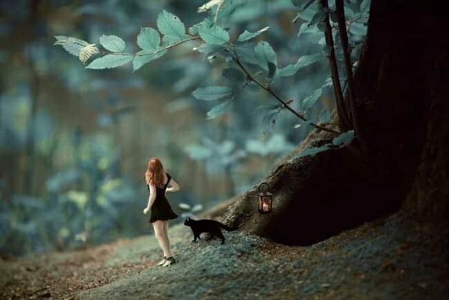 Woman in Woods with Black Cat