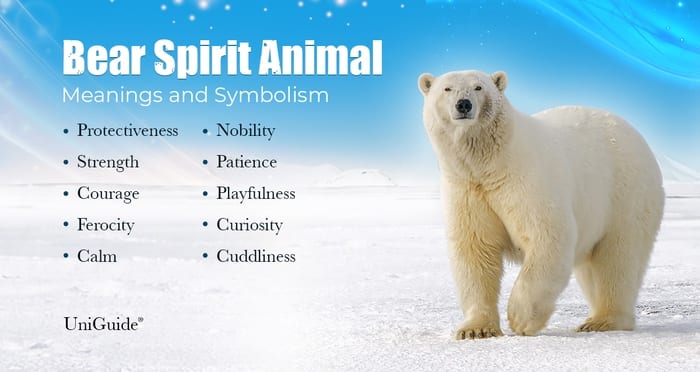 Bear Symbolism & Meanings & the Bear Spirit Animal