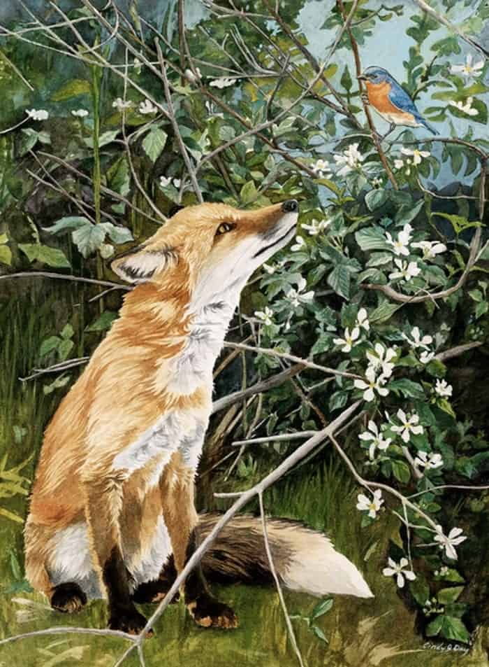 Fox and bluebird