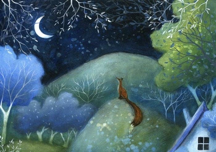 Fox gazing at the moon