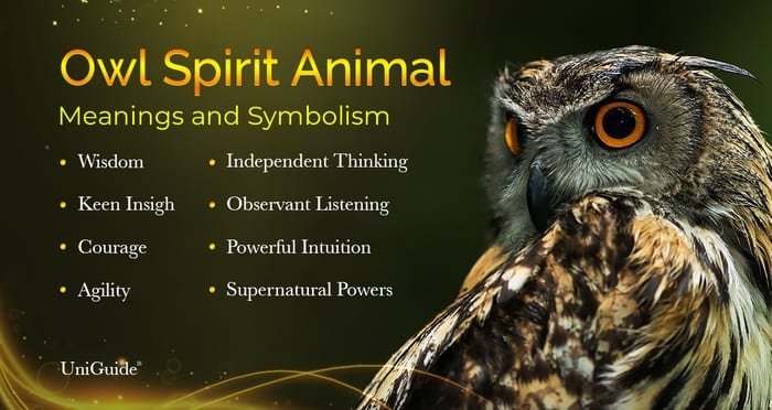 Owl Symbolism, Meaning, and the Owl Spirit Animal