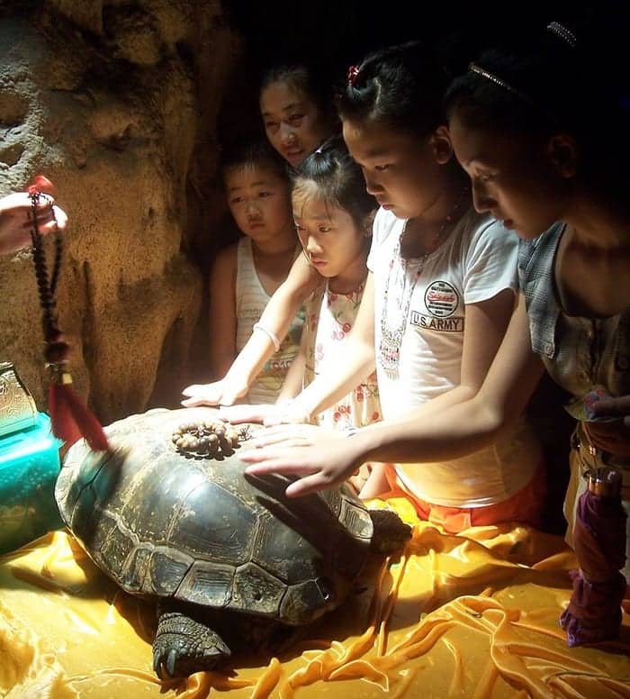 Chinese family with sacred turtle