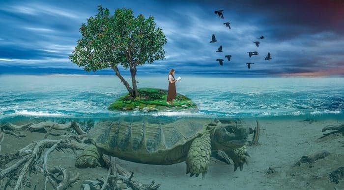 Turtle Fantasy, Girl with Book