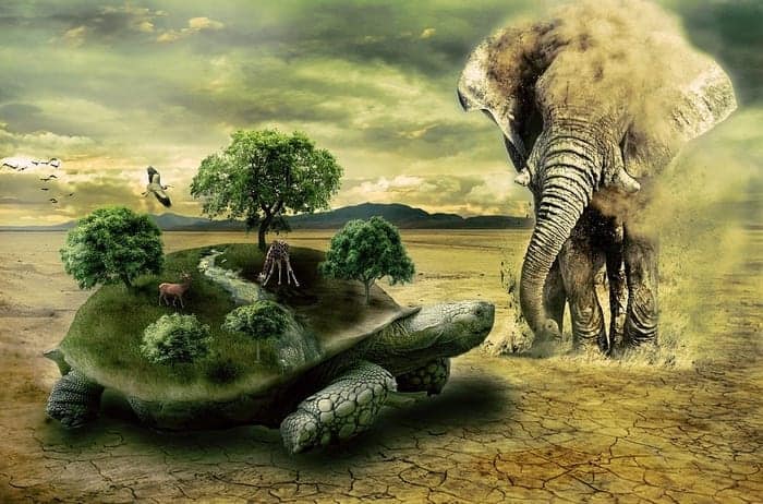 Turtle as Symbol for Earth