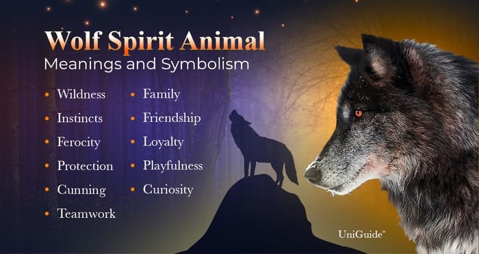 Animal Spirits