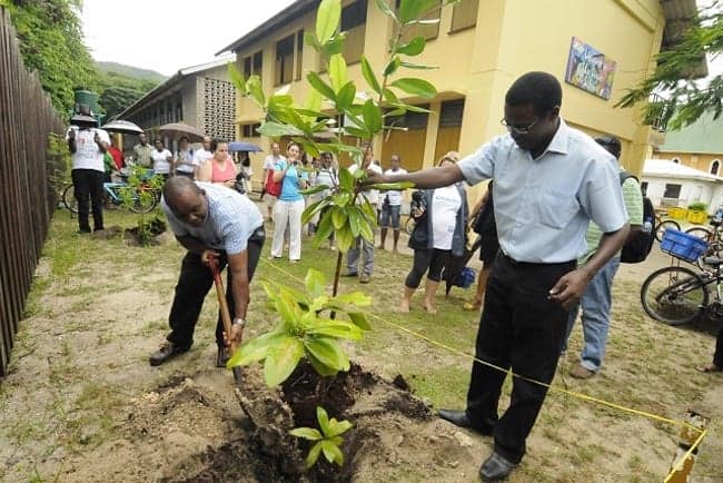 Planting Trees