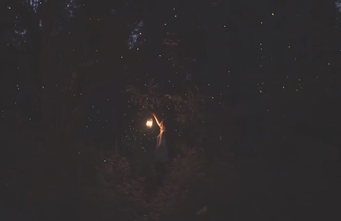 Gazing at fireflies
