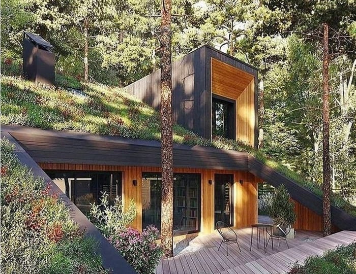 Prefab Container Home with Green Roof