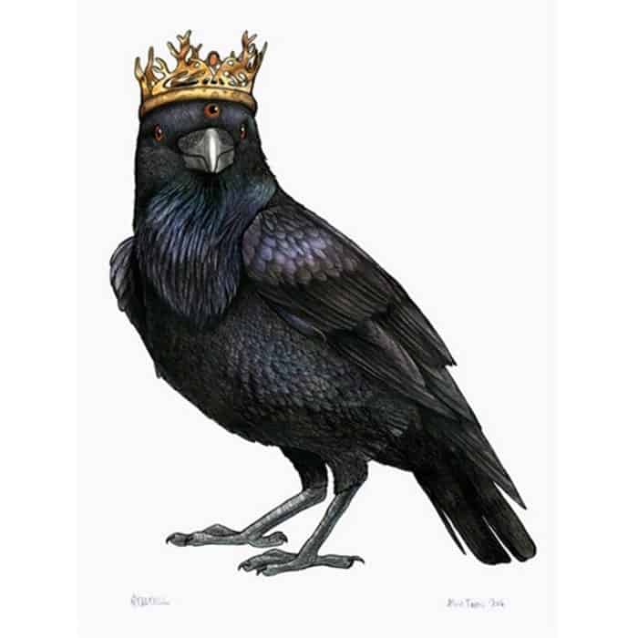 Three-Eyed Raven