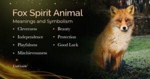 Fox Symbolism and Meaning & the Fox Spirit Animal | UniGuide