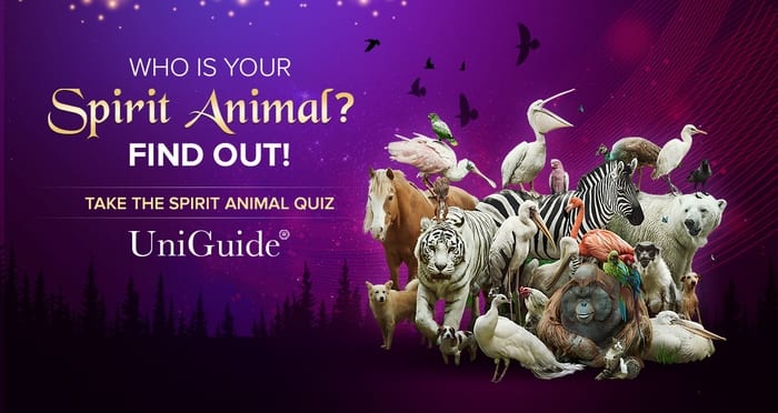 Spirit Animal Test