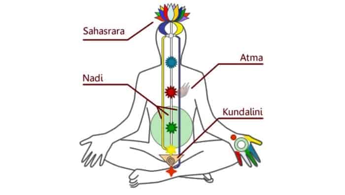 Kundalini, Snake as a Symbol of Primal Energy