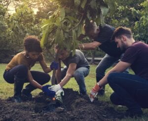 Community Planting Trees