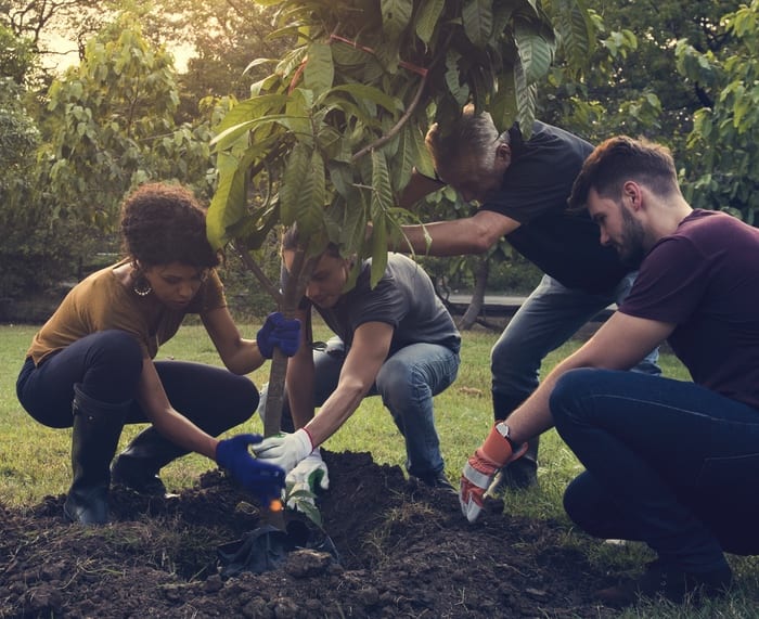 Community Planting Trees