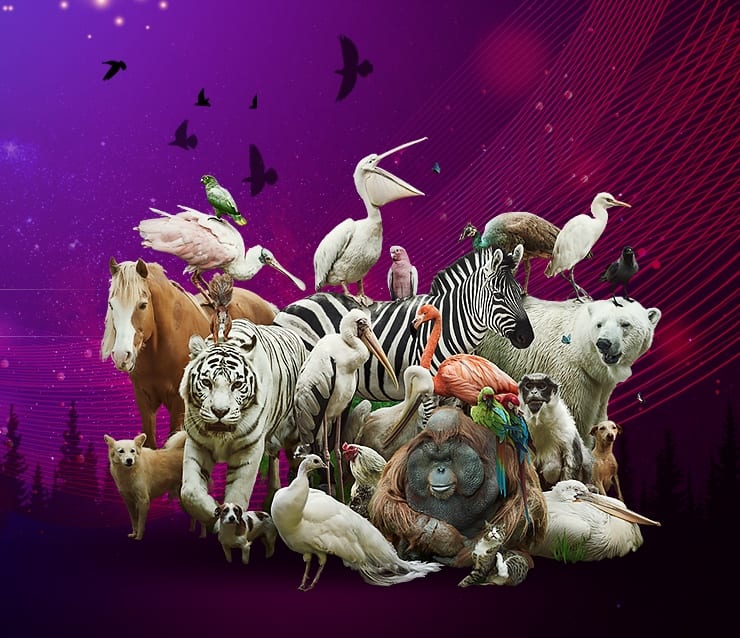 What Is My Spirit Animal? Take the Quiz & Find out. | UniGuide What Is My Spirit Animal? Take the Quiz & Find out. | UniGuide