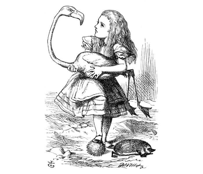 Alice with Flamingo
