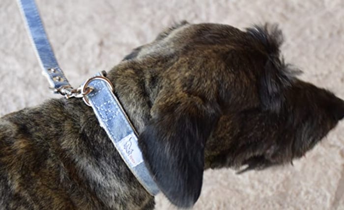 Recycled (R)evolution Woven Dog Collar