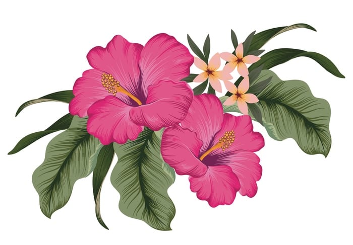 Hibiscus Tattoo