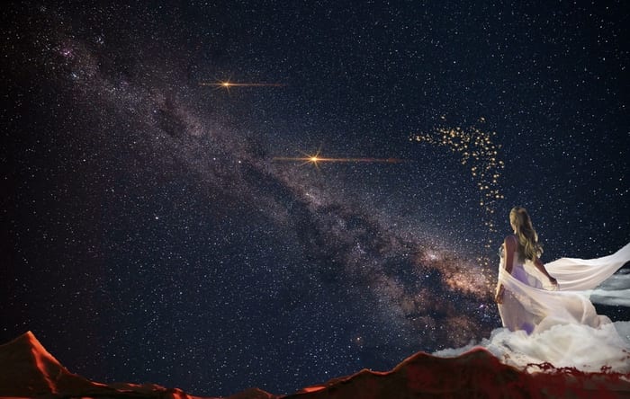 Aster Flower Meaning: Stars