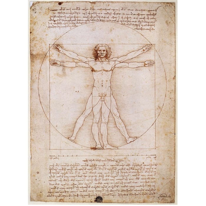 Leonard Da Vinci's Vitruvian Man Drawing