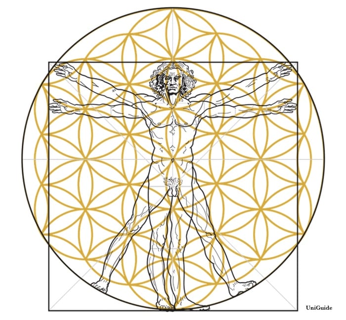 Flower Of Life Meaning And Symbolism