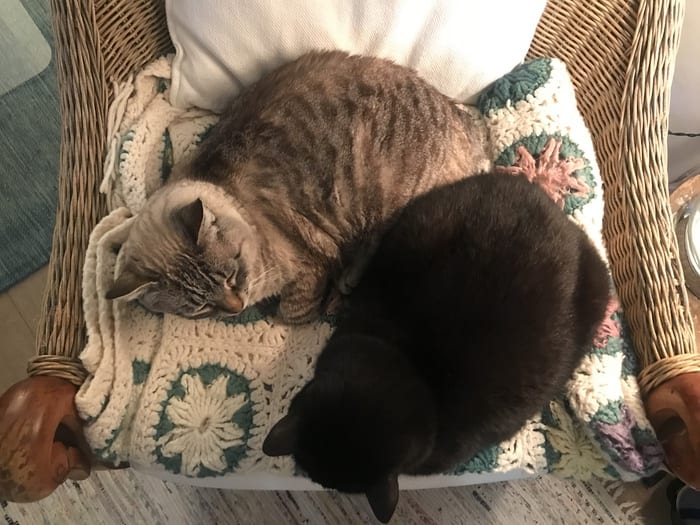 Uti and Isa on Afghan