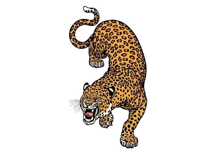 Leopard Tattoo