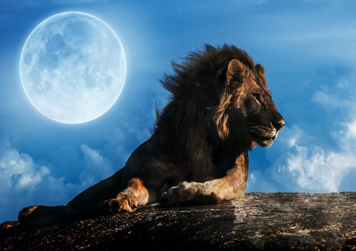 Lion Mythology