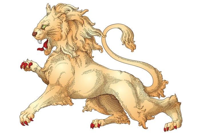 Lion Tattoo