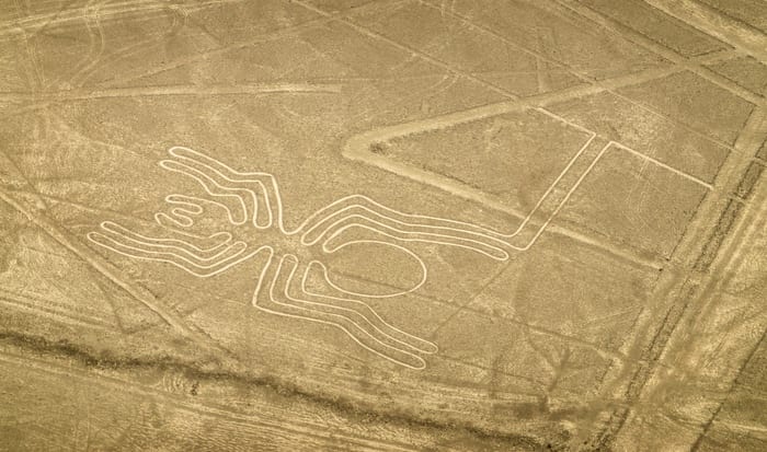 Nazca Lines Spider
