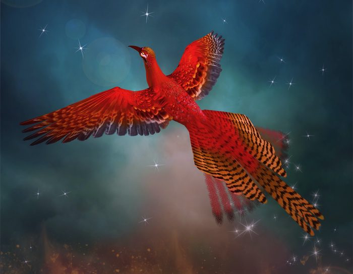 realistic phoenix bird