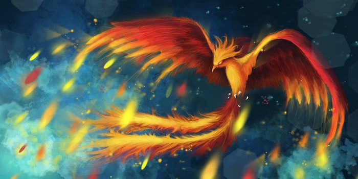 Phoenix Spirit Animal