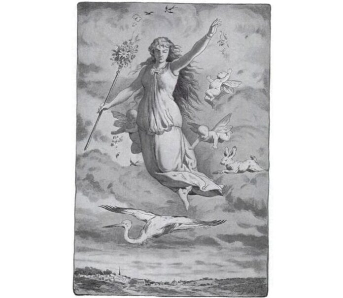 Rabbit Symbolism & Meaning & the Rabbit Spirit Animal | UniGuide