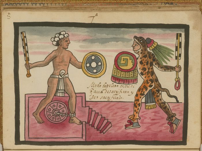 Aztec Jaguar Shaman
