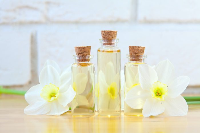 Daffodil Essential Oils