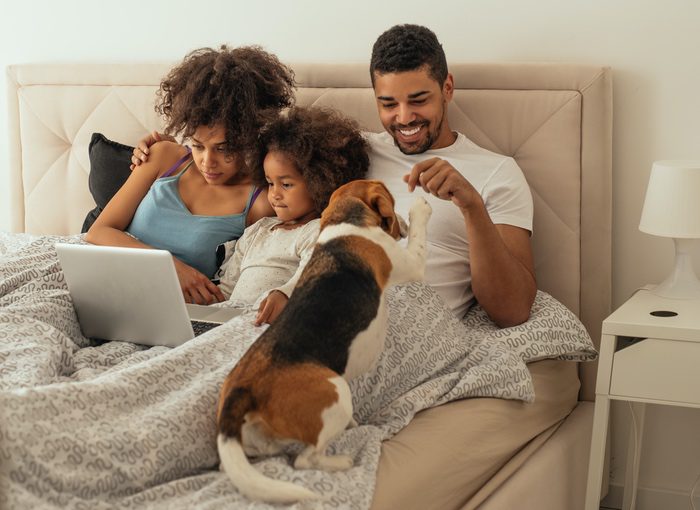 Family Dog