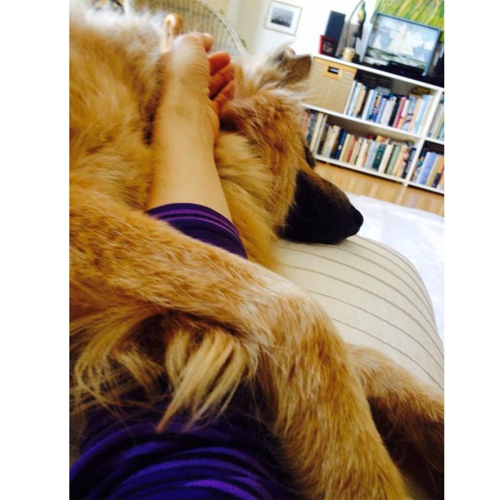 Dog Looking After Me