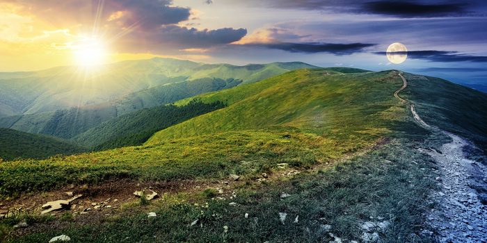 Beautiful Nature Photo