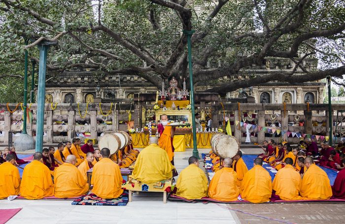Tibetan Monks Bodhi Tree